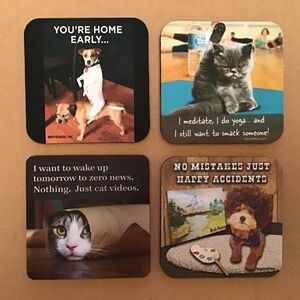 Funny Animal Coasters Set of Four New